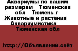 Аквариумы по вашим размерам - Тюменская обл., Тюмень г. Животные и растения » Аквариумистика   . Тюменская обл.